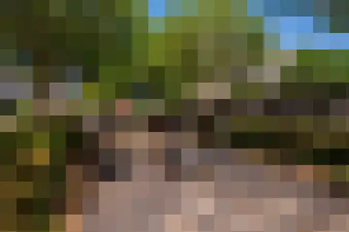 Buziaupad 6 Almere thumbnail 28