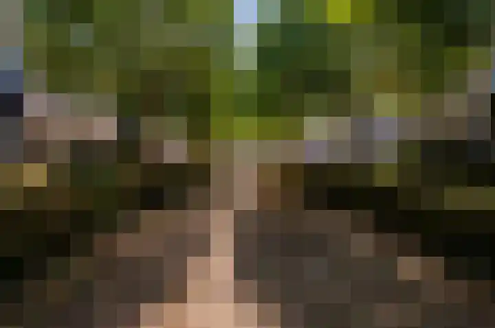 Buziaupad 6 Almere thumbnail 31