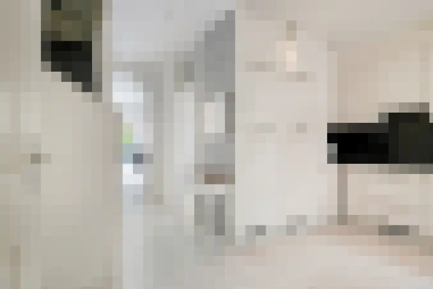 Buziaustraat 48 Rotterdam thumbnail 4