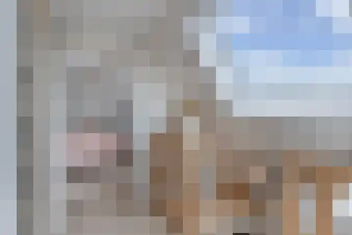 Screenshot der Website von www.bvamakelaardij.nl