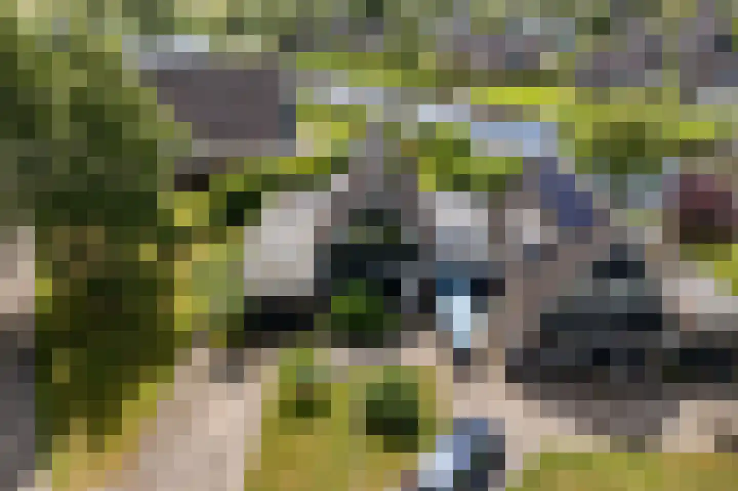 Bybaen 4 Uitwellingerga thumbnail 40