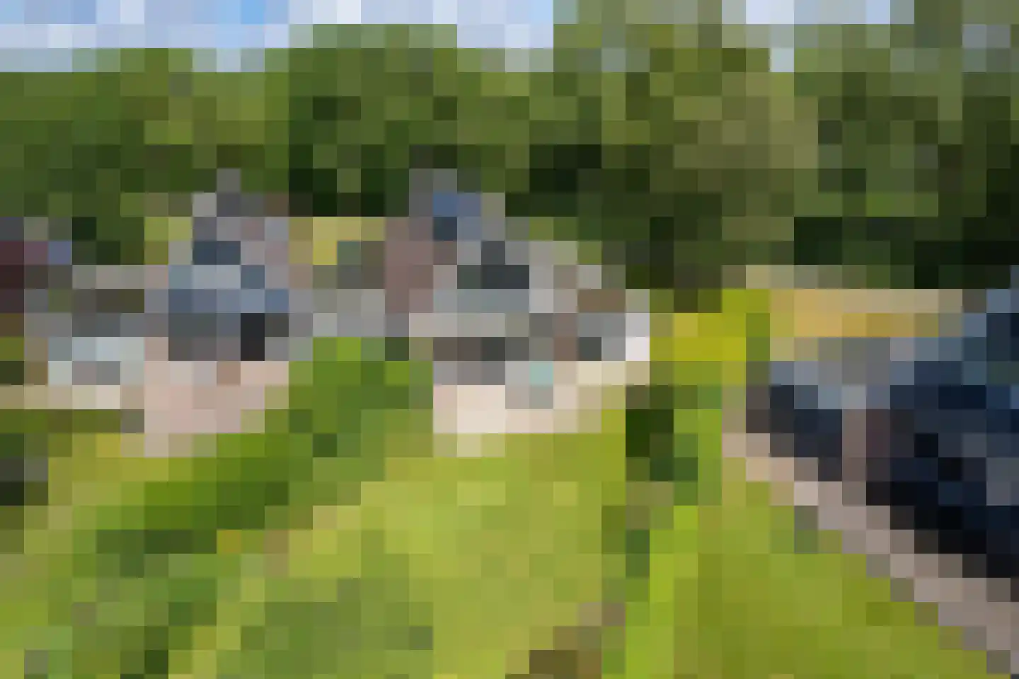 Bybaen 4 Uitwellingerga thumbnail 43