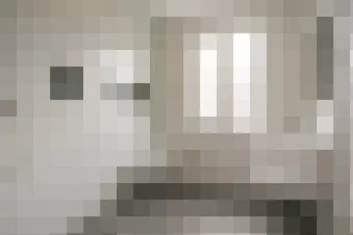 Byblisstraat 42 Arnhem thumbnail 19