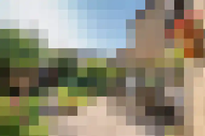 Byronstraat 33 Venlo thumbnail 35