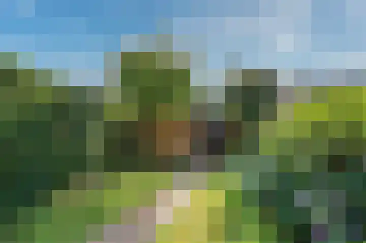 Byronstraat 33 Venlo thumbnail 37