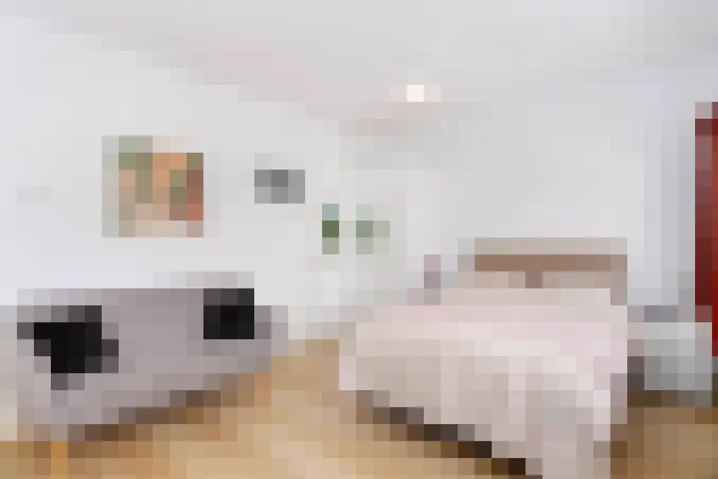 Byronstraat 48 Utrecht thumbnail 13