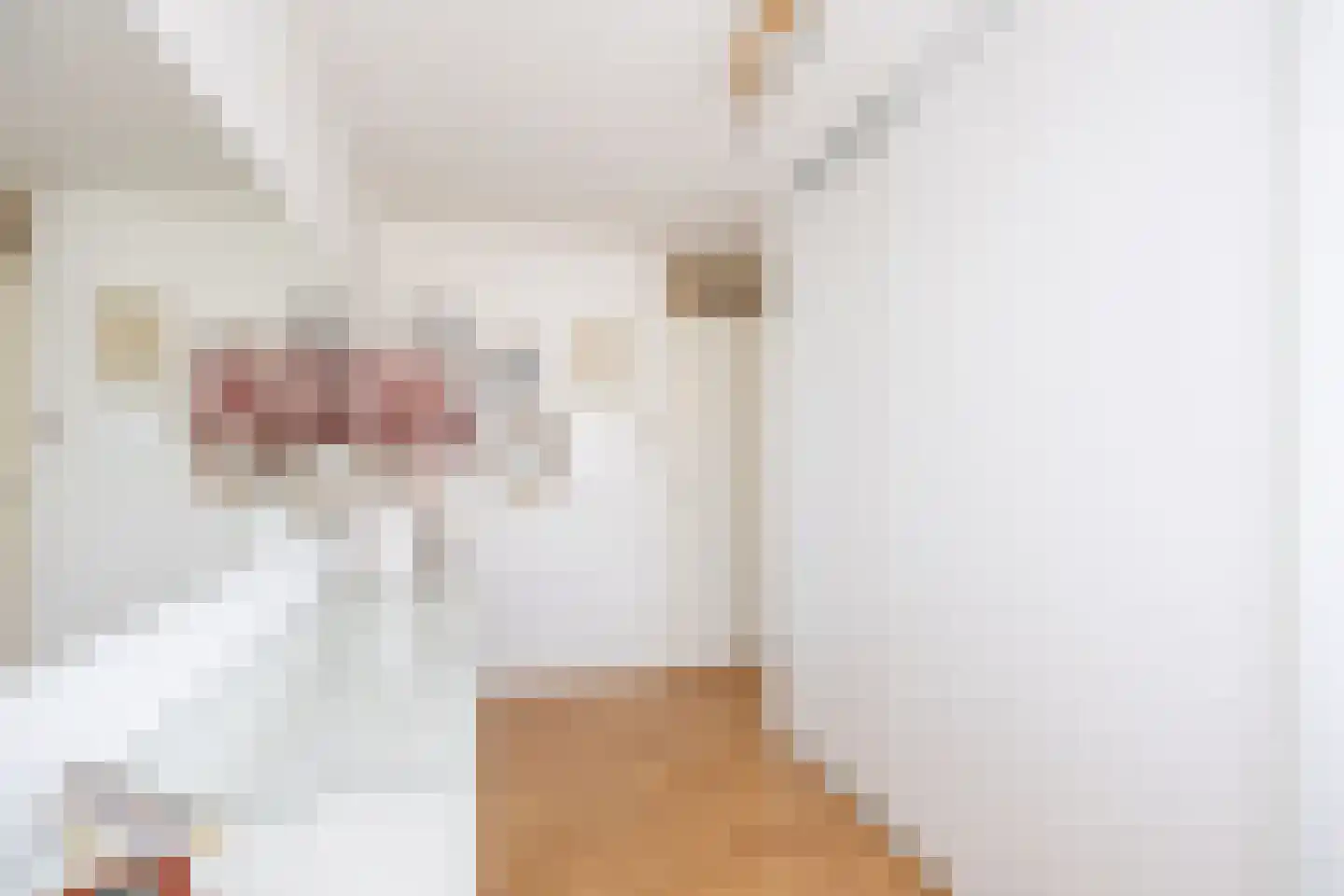 Byronstraat 58 Venlo thumbnail 15