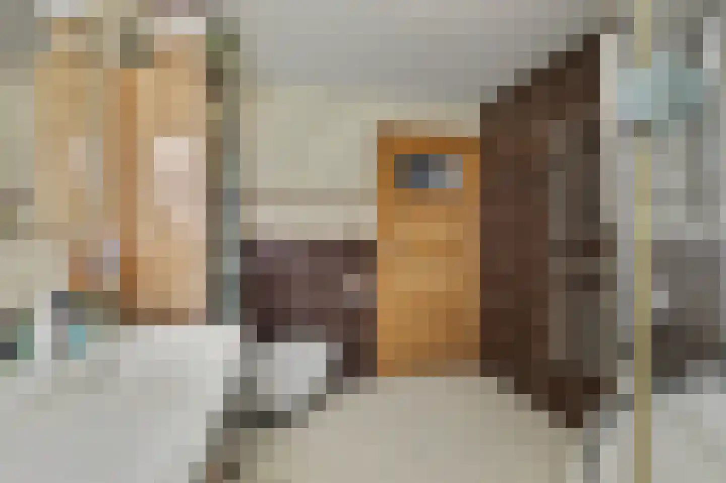 Byronstraat 65 Venlo thumbnail 18