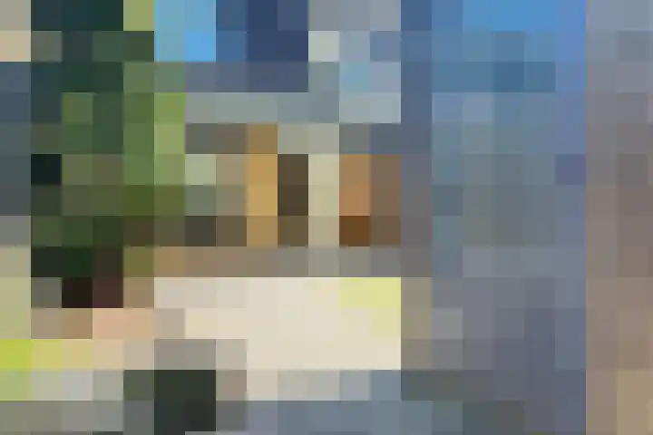 Byronstraat 71 Venlo thumbnail 19