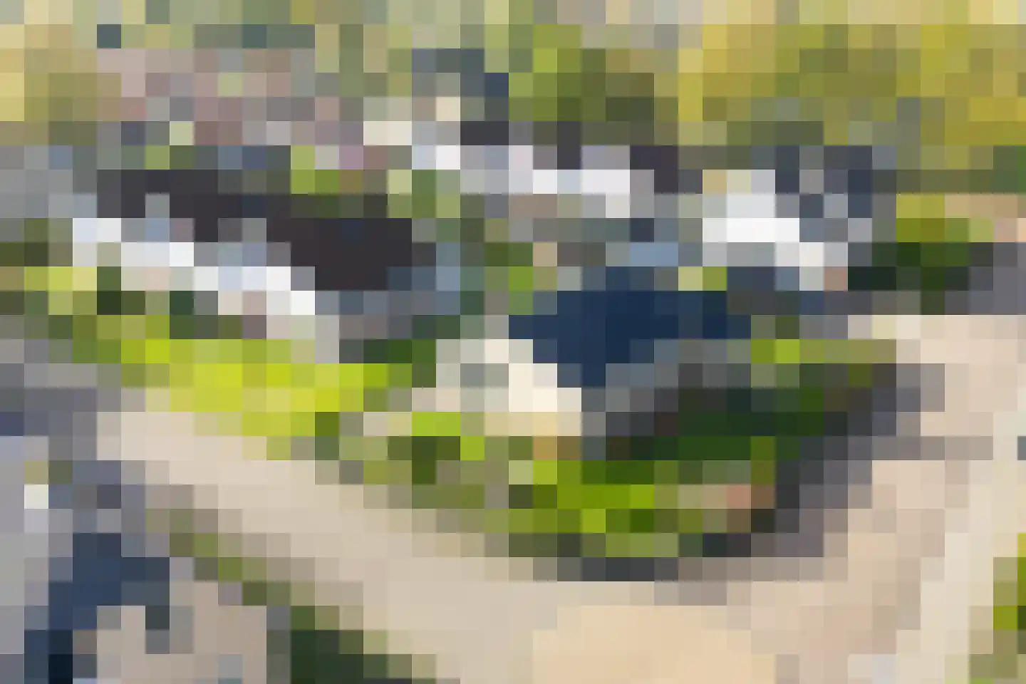 Bysitterskamp 29 Boornbergum
