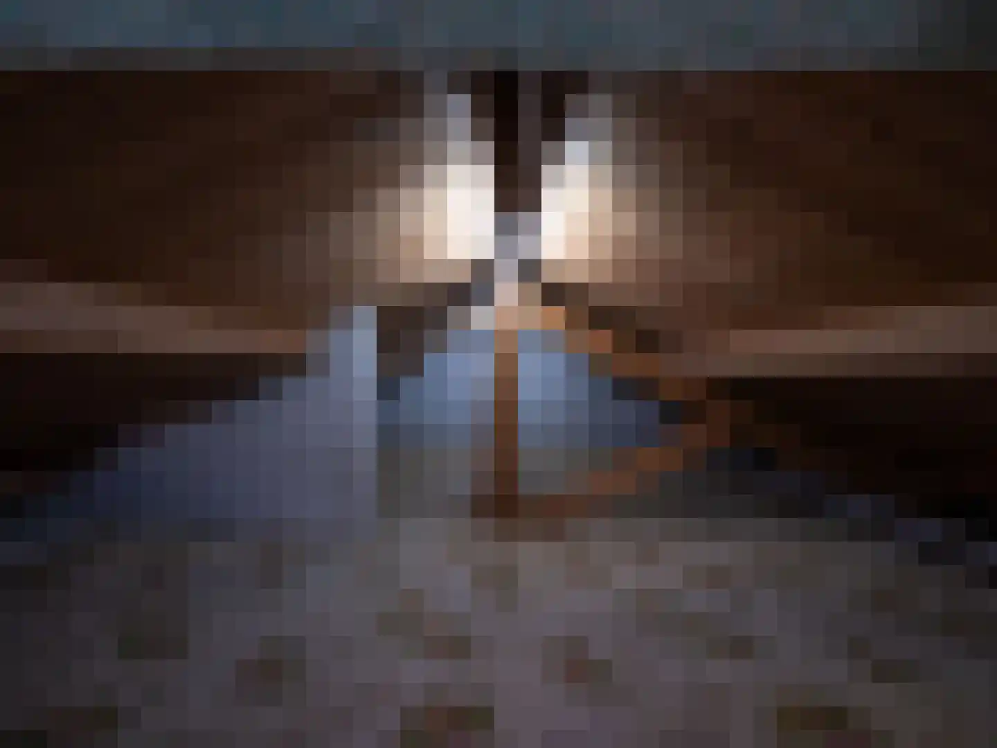 Bysitterskamp 29 Boornbergum thumbnail 23