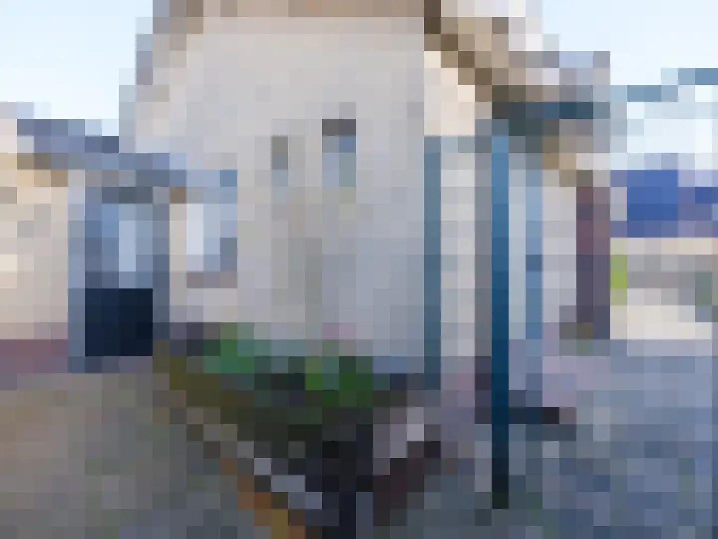 Bysitterskamp 29 Boornbergum thumbnail 27