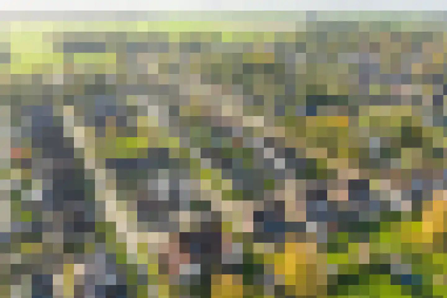 Bysitterskamp 29 Boornbergum thumbnail 33