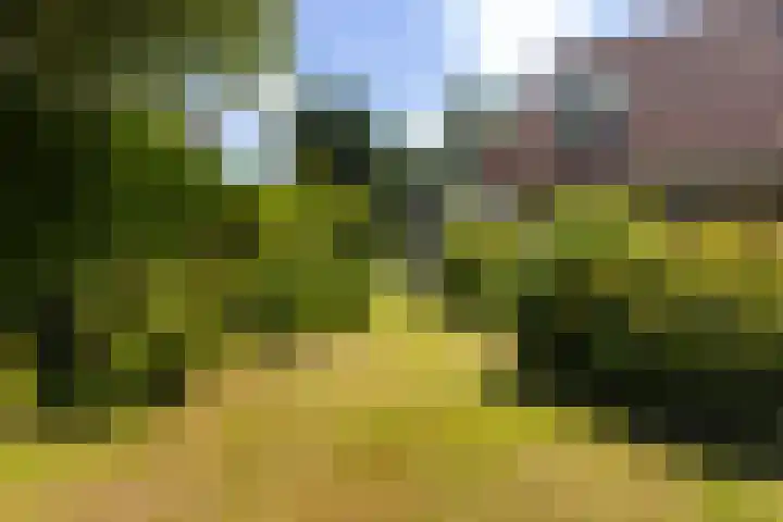 Bytling 25 Terherne thumbnail 19