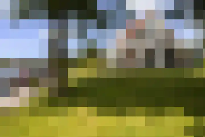 Bytling 25 Terherne foto 2