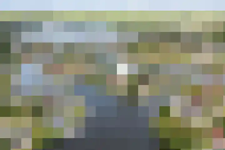 Bytling 25 Terherne thumbnail 4