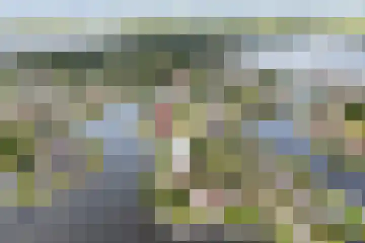 Bytling 25 Terherne thumbnail 5