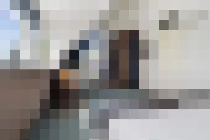 Bytling 25 Terherne thumbnail 52