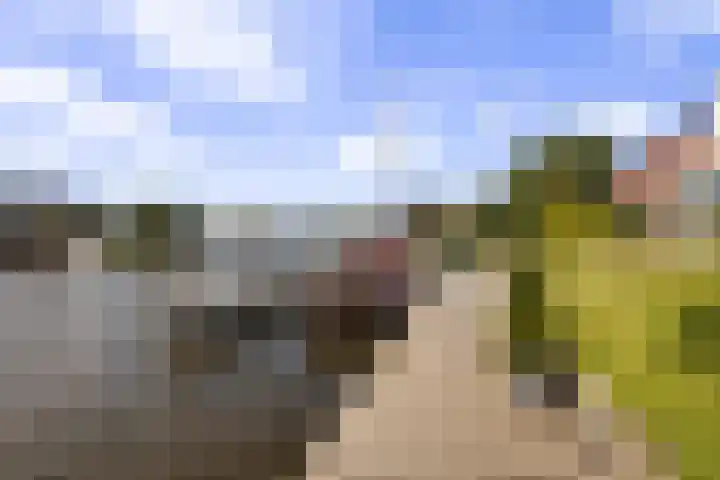 Bytling 25 Terherne thumbnail 61