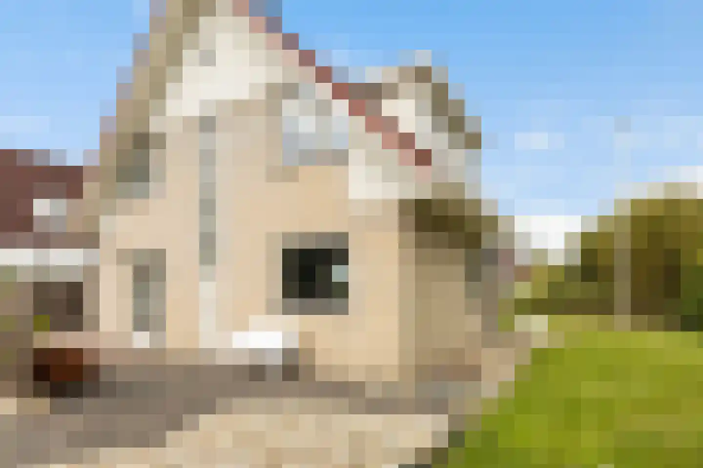 Bytling 28 Terherne thumbnail 10