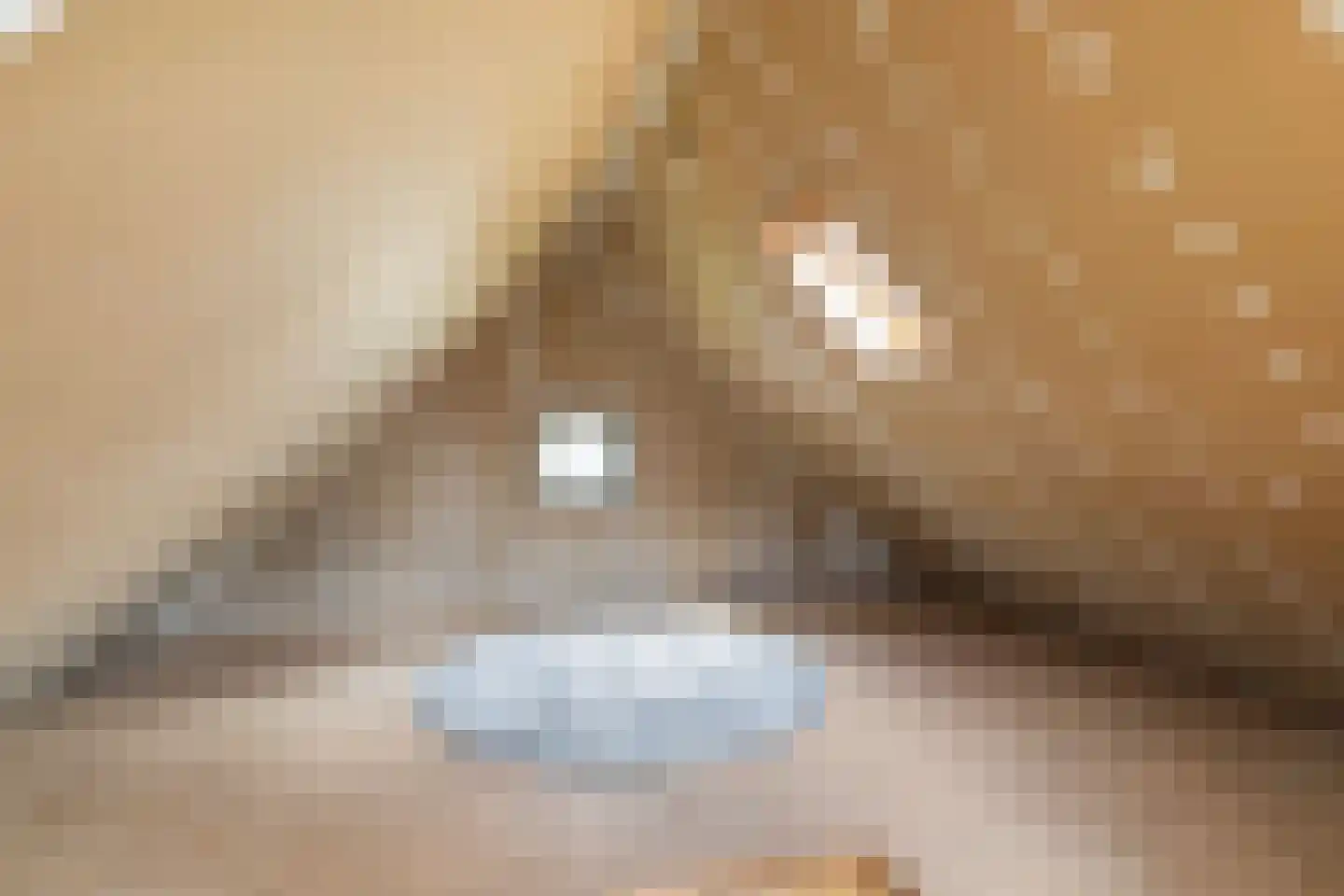 Bytling 28 Terherne thumbnail 37