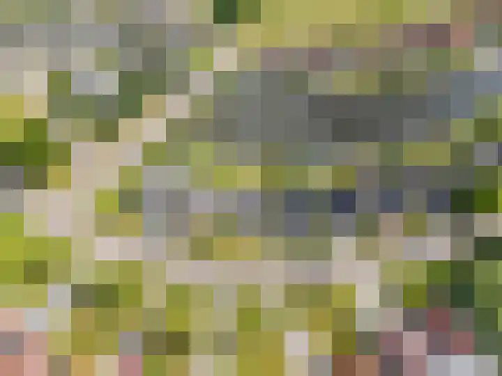 Bytling 57 Terherne thumbnail 58
