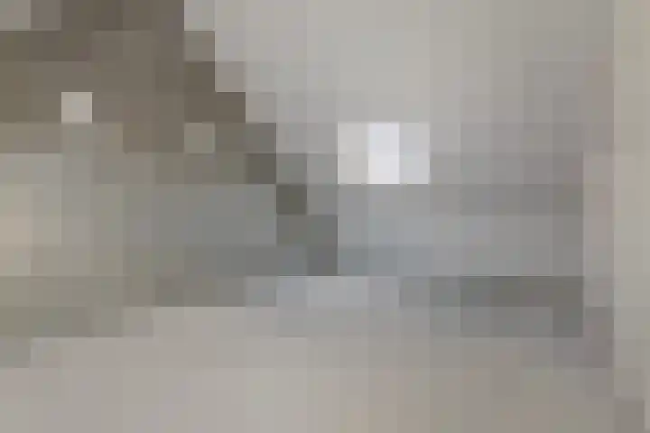 C.A. Filipsonstraat 13 Heinenoord thumbnail 22