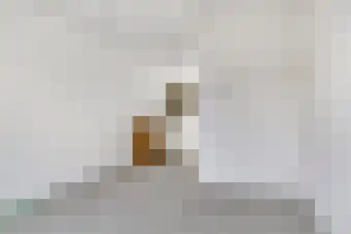 C.A. Filipsonstraat 17 Heinenoord thumbnail 13