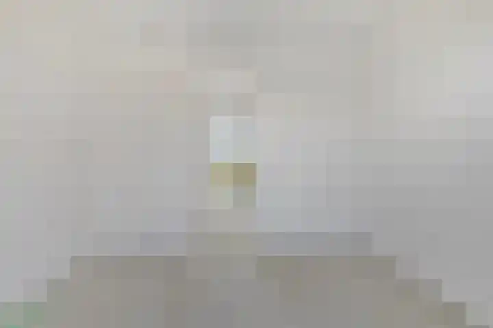 C.A. Filipsonstraat 17 Heinenoord thumbnail 17