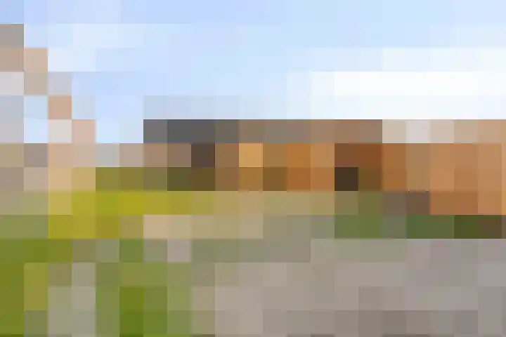C.A. Filipsonstraat 17 Heinenoord thumbnail 22