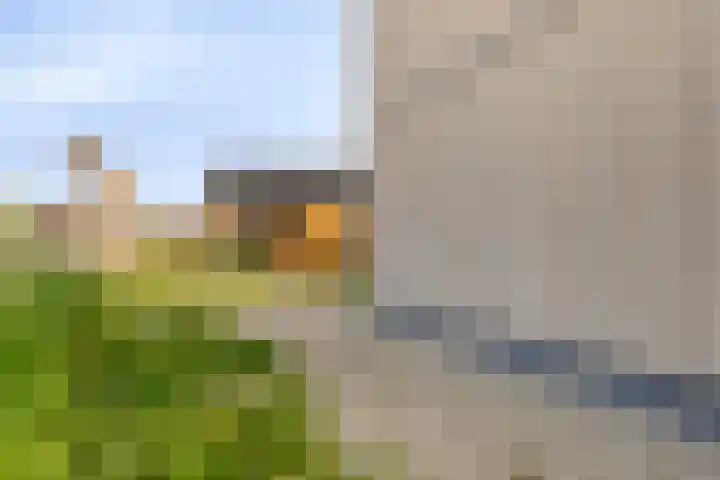 C.A. Filipsonstraat 17 Heinenoord thumbnail 25