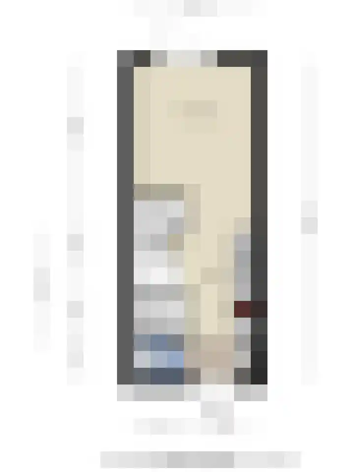 C.A. Filipsonstraat 17 Heinenoord thumbnail 34