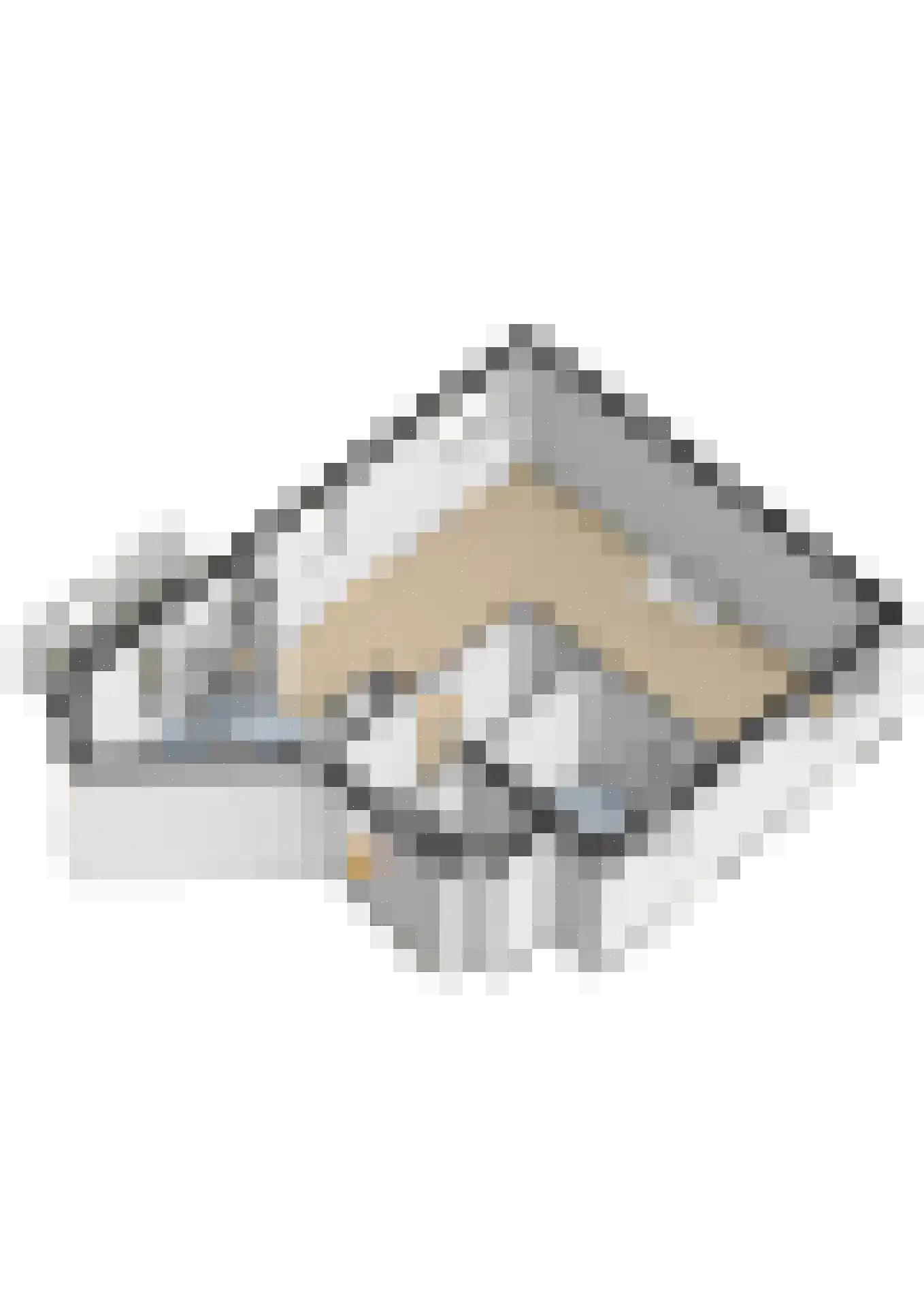C.A. van Beverenplein 7 Den Haag thumbnail 52