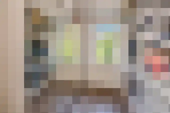 C.A. van Beverenstraat 60 Den Haag thumbnail 41