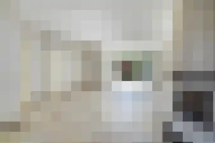 C.A. van Beverenstraat 62 Den Haag thumbnail 10
