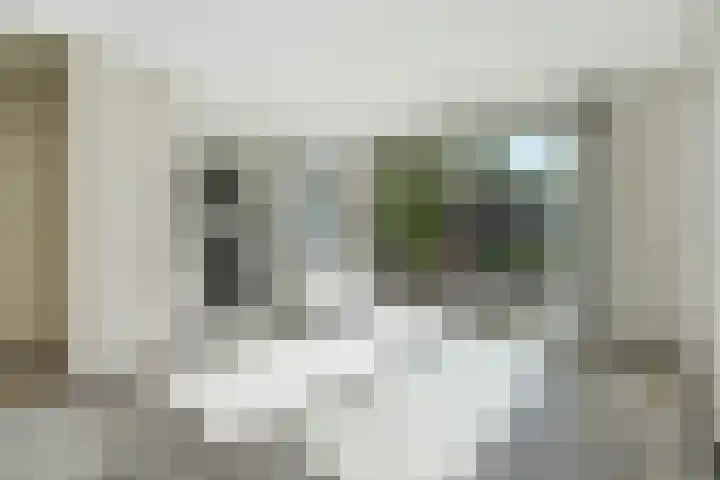 C.A. van Beverenstraat 62 Den Haag thumbnail 13
