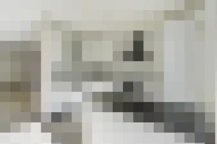 C.A. van Beverenstraat 62 Den Haag thumbnail 17