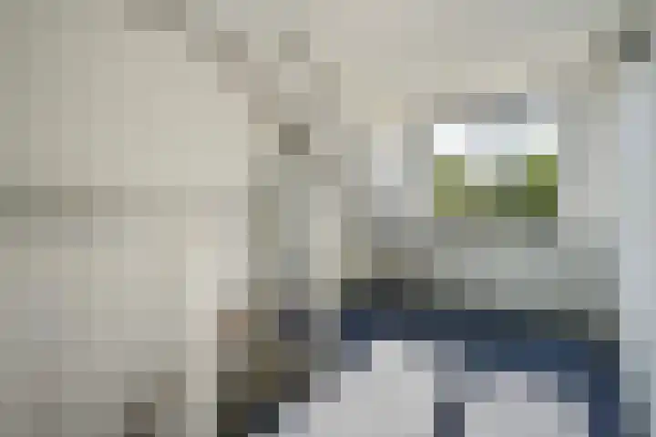 C.A. van Beverenstraat 62 Den Haag thumbnail 43
