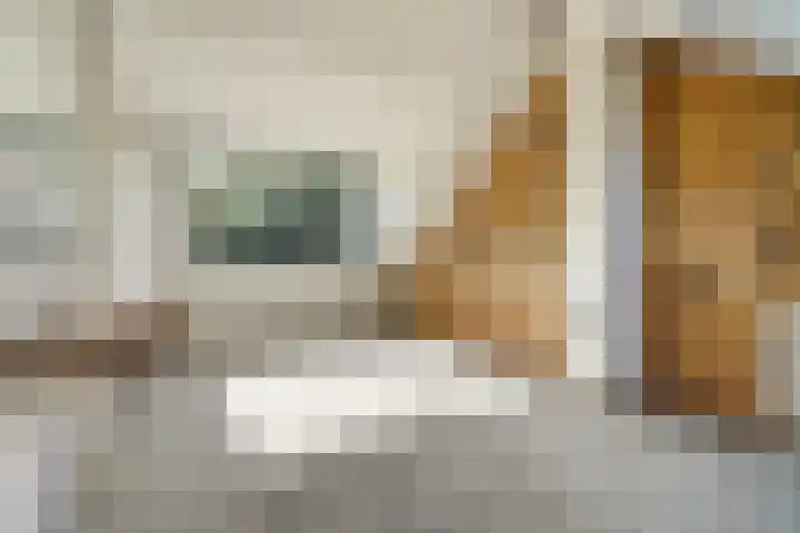 C.A. van Beverenstraat 62 Den Haag thumbnail 46