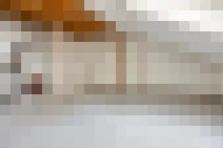 C.A. Weersma-van Duinstraat 40 Zutphen thumbnail 25