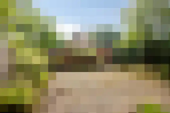 C.A. Weersma-van Duinstraat 40 Zutphen thumbnail 30