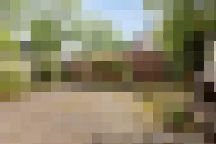 C.A. Weersma-van Duinstraat 40 Zutphen thumbnail 31
