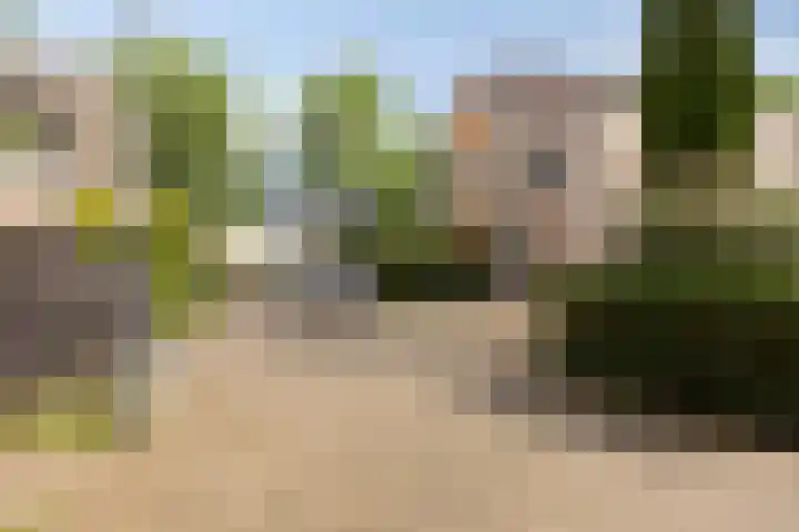 C.A. Weersma-van Duinstraat 40 Zutphen thumbnail 34