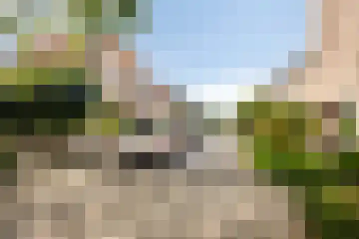 C.A. Weersma-van Duinstraat 40 Zutphen thumbnail 35
