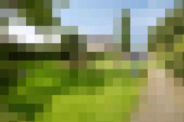 C.A. Weersma-van Duinstraat 40 Zutphen thumbnail 36