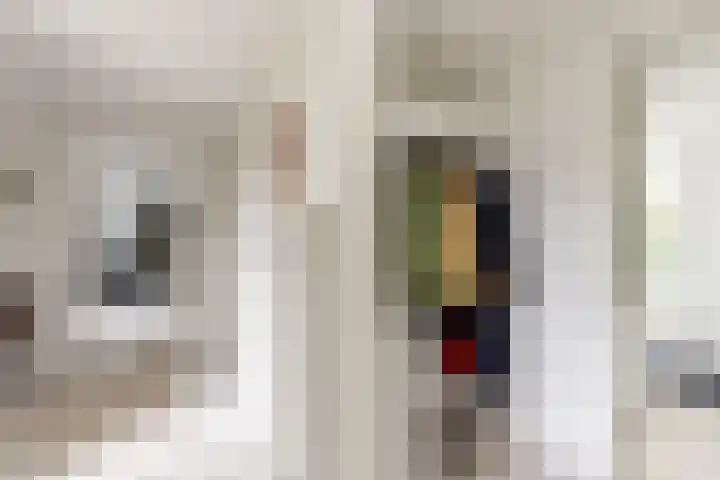 C. Barendregtlaan 13 Rhoon thumbnail 10