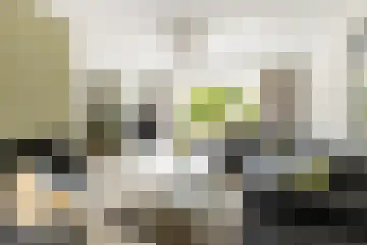 C. Barendregtlaan 13 Rhoon thumbnail 11