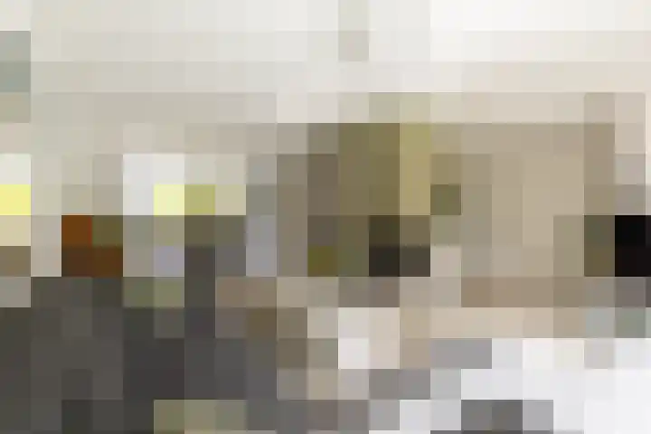 C. Barendregtlaan 13 Rhoon thumbnail 13