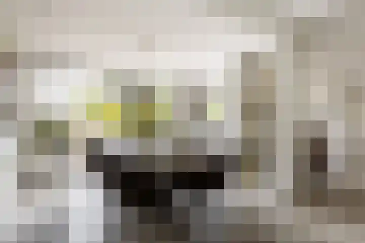 C. Barendregtlaan 13 Rhoon thumbnail 15