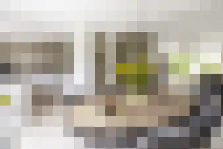 C. Barendregtlaan 13 Rhoon thumbnail 16